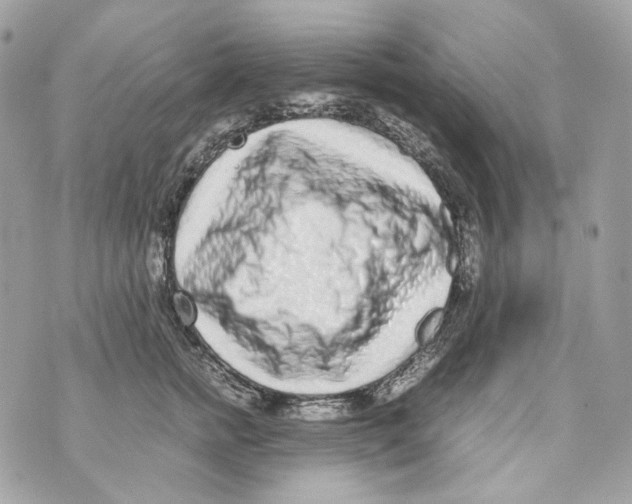 X0000070430758200607072359