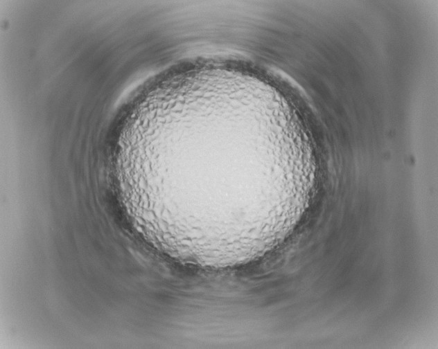 X0000070430775200607072358