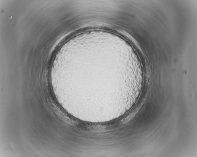 X0000070430783200607072358