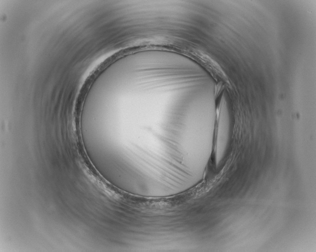X0000070430784200607072358