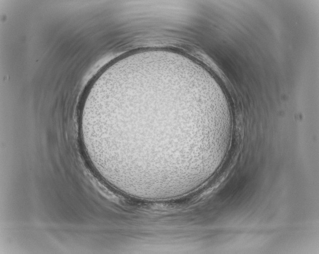 X0000070430787200607072358