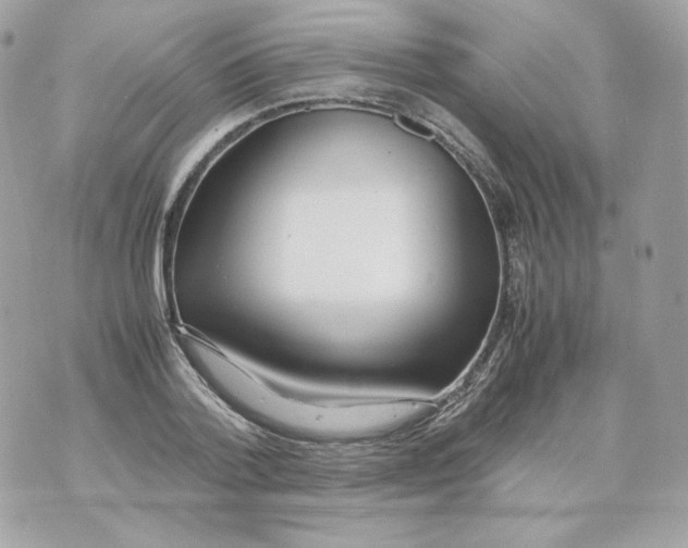 X0000070430788200607072358