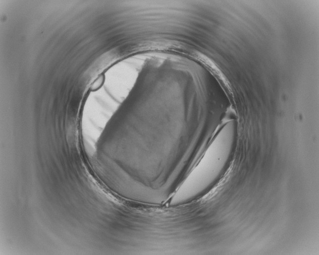 X0000070430802200607072358