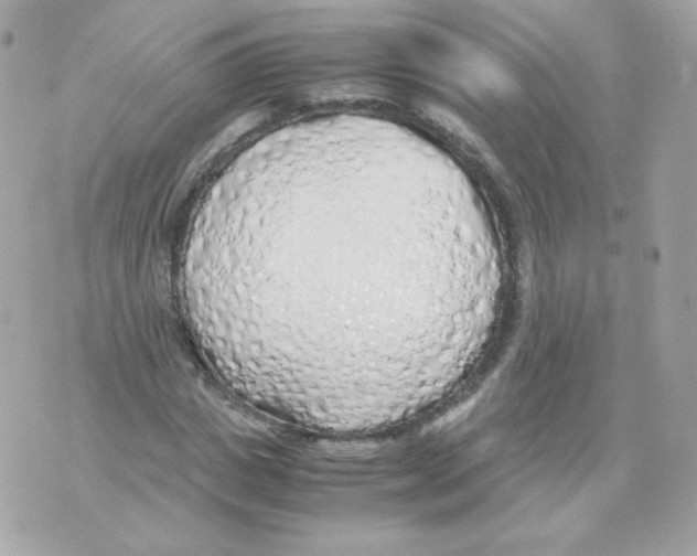 X0000070430825200607072357