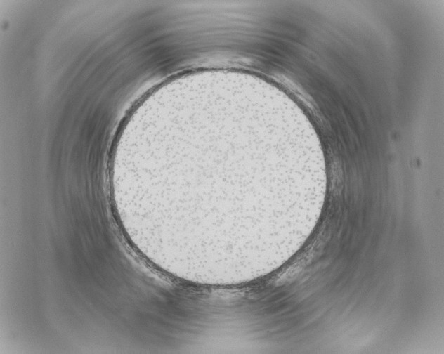 X0000070430848200607072357