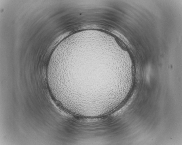 X0000070430849200607072357