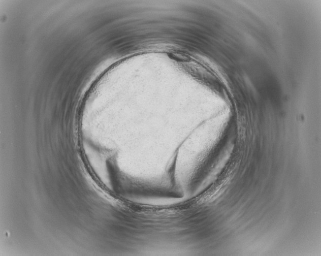 X0000070430851200607072357