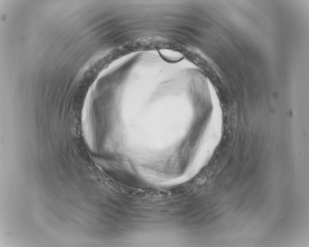 X0000070430919200607072355