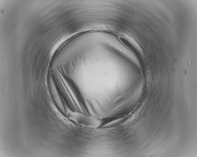 X0000070430944200607072356