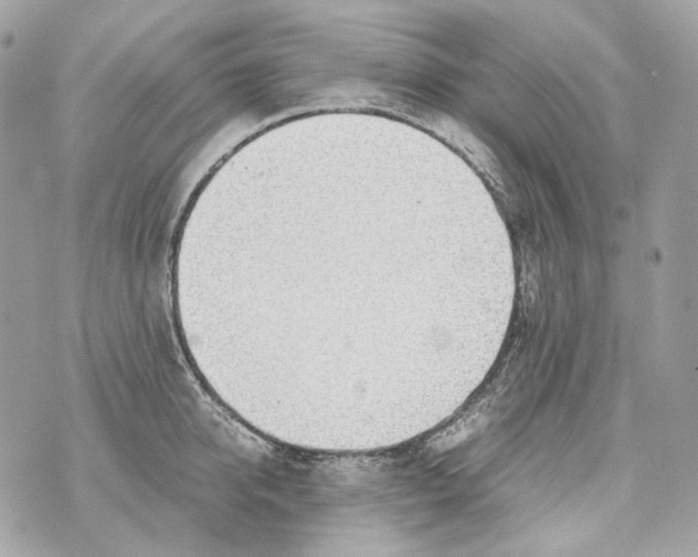 X0000070430950200607072356