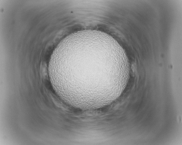 X0000070430963200607072355