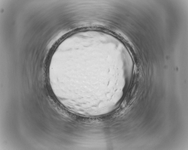 X0000070430975200607072355