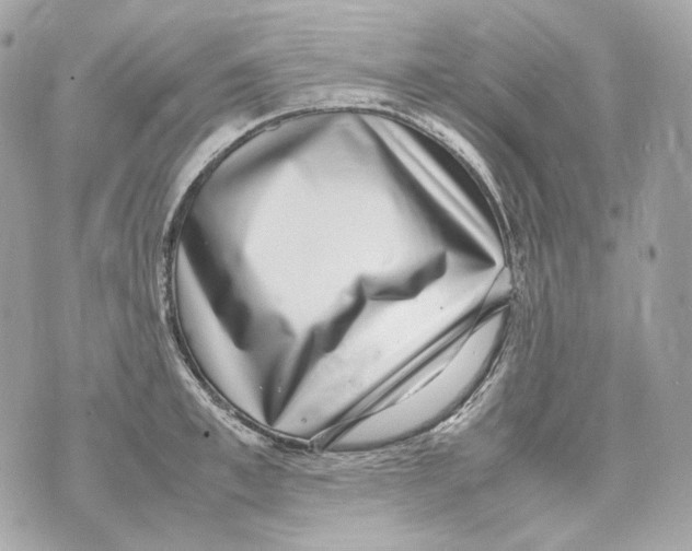 X0000070430997200607072355