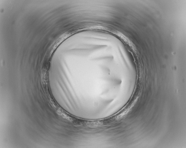 X0000070431001200607072355