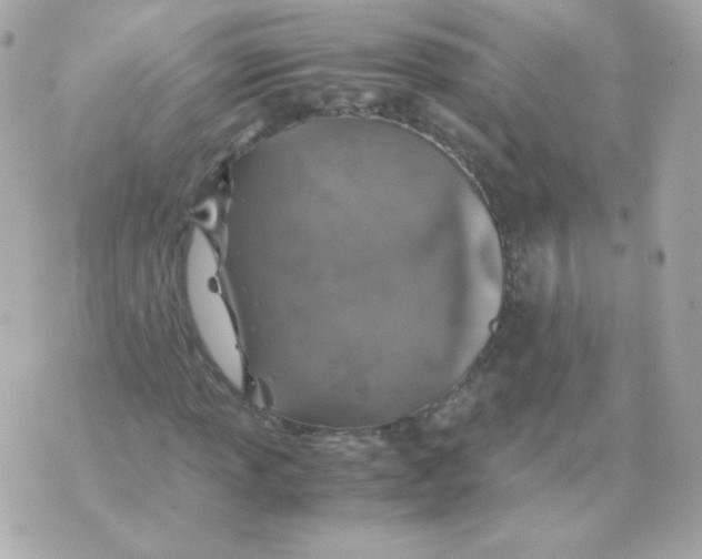 X0000070431013200607072354