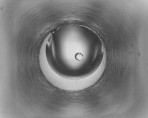 X0000070431014200607072354