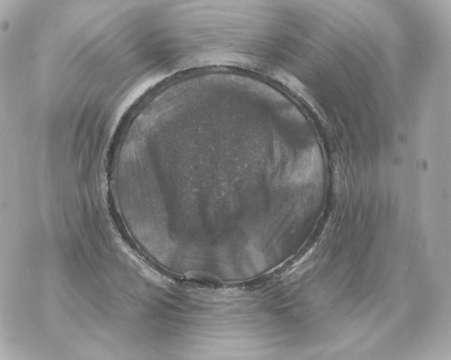 X0000070431024200607072354