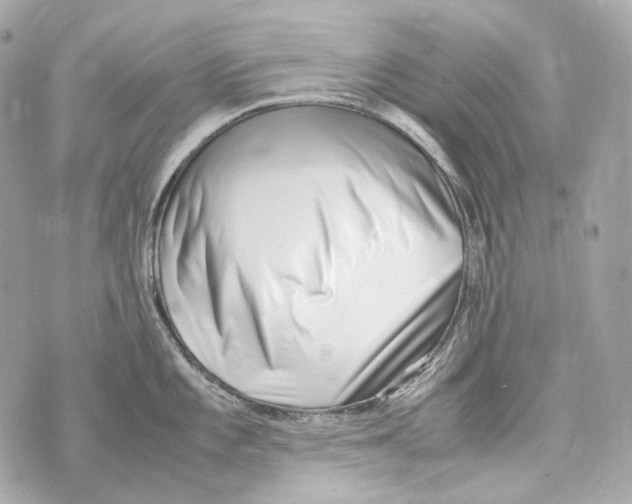 X0000070431101200607072353