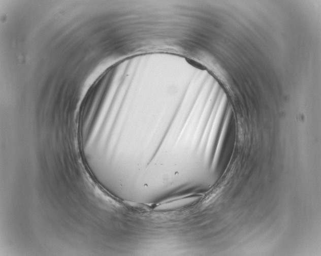 X0000070431102200607072353