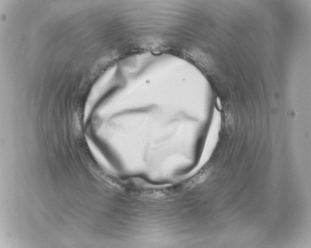 X0000070431106200607072352