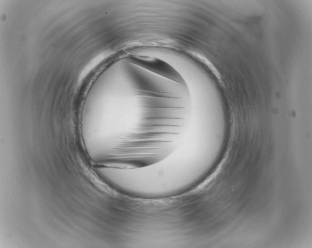 X0000070431114200607072352