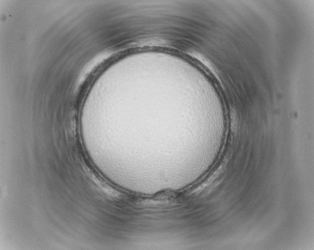 X0000070431115200607072352