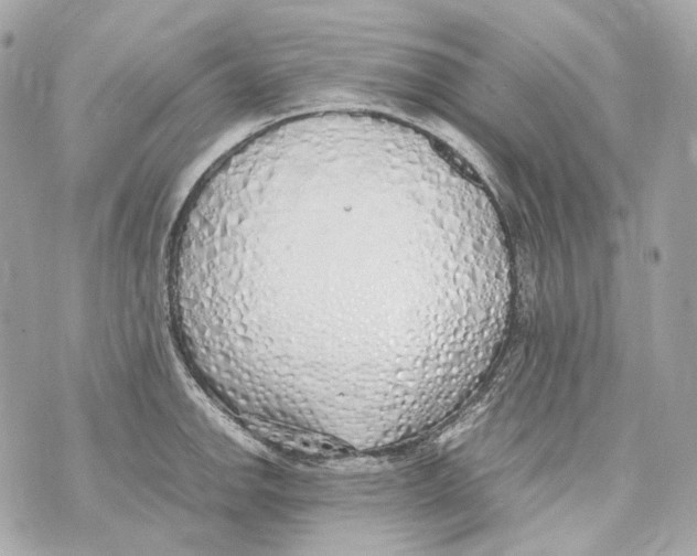 X0000070431142200607072353