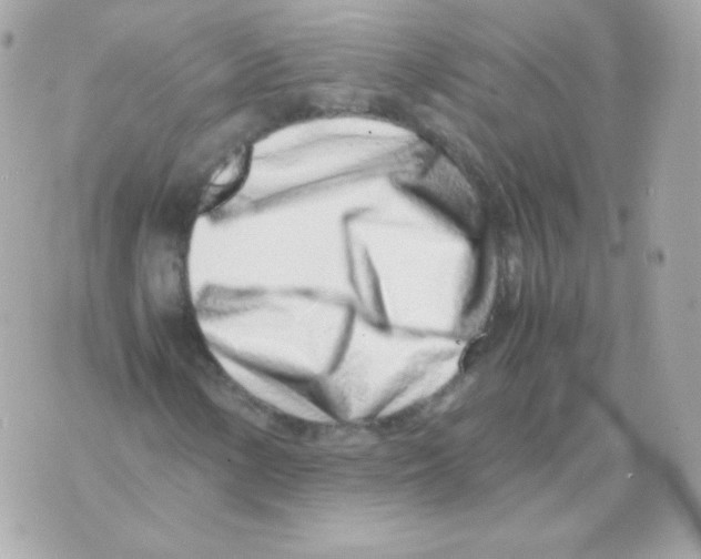 X0000070431154200607072352
