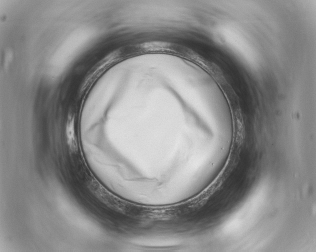 X0000070431198200607072351