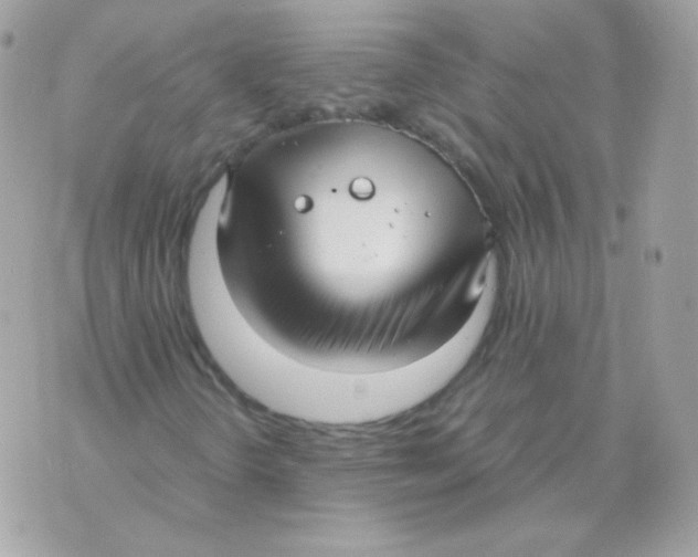 X0000070431298200607072349