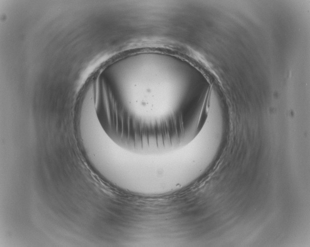 X0000070431312200607072349