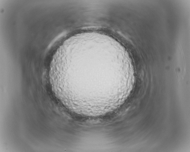 X0000070431351200607072349