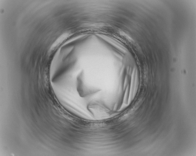 X0000070431354200607072349