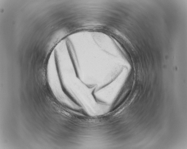 X0000070431362200607072349
