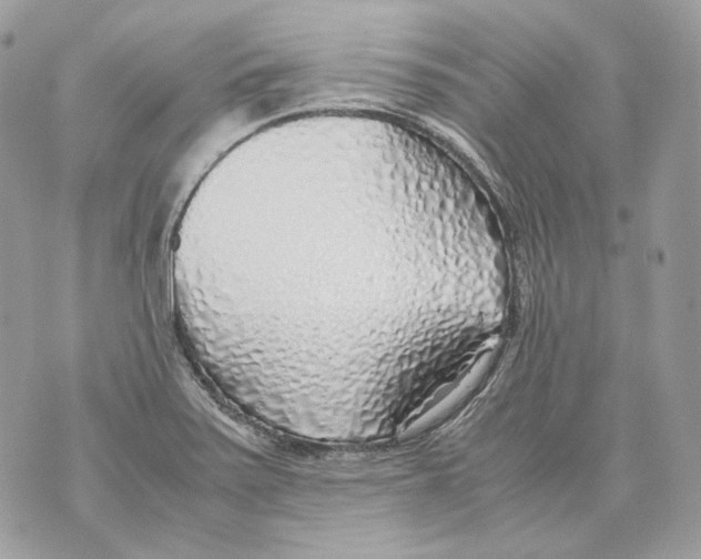 X0000070431371200607072349