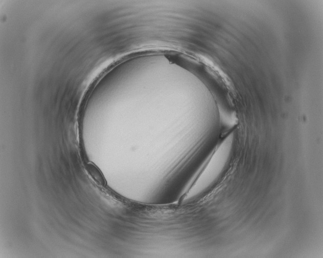 X0000070431372200607072349
