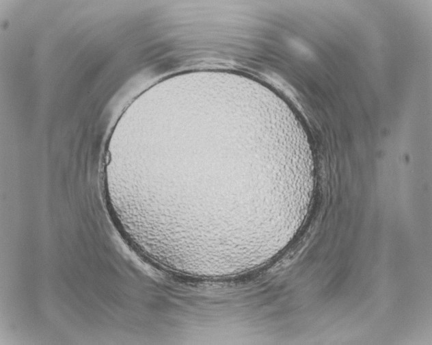 X0000070431379200607072348