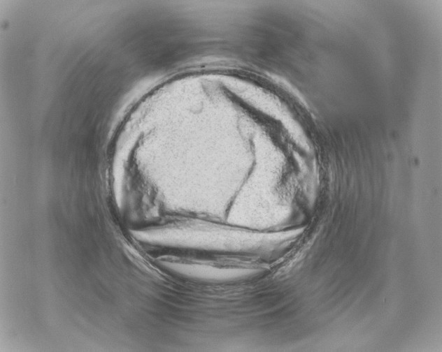 X0000070431413200607072348