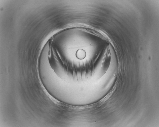X0000070431438200607072348