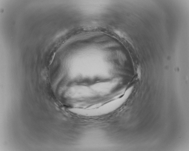 X0000070431445200607072347