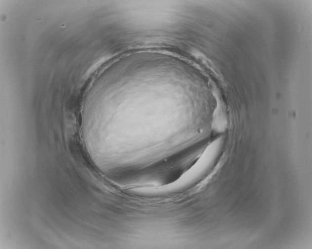 X0000070431449200607072347