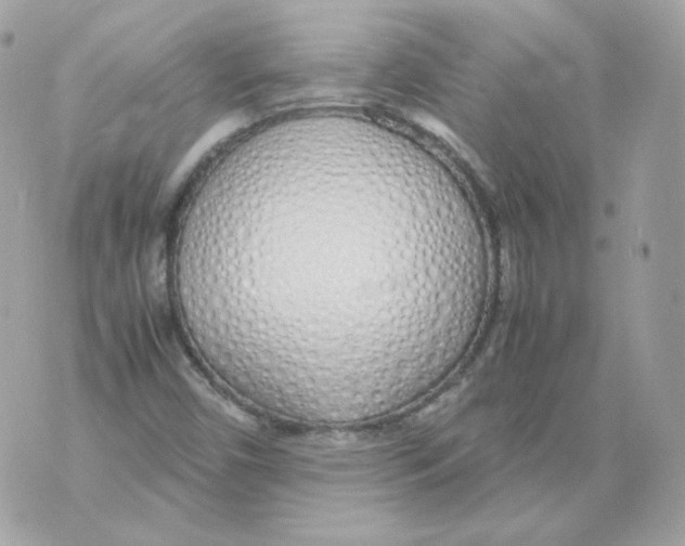X0000070431450200607072347