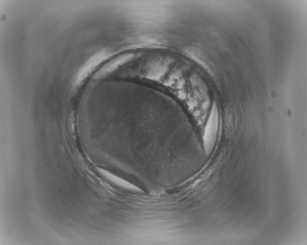X0000070431455200607072347