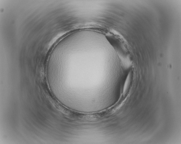 X0000070431457200607072347