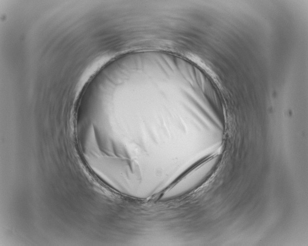 X0000070431477200607072347