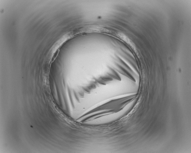 X0000070431481200607072347