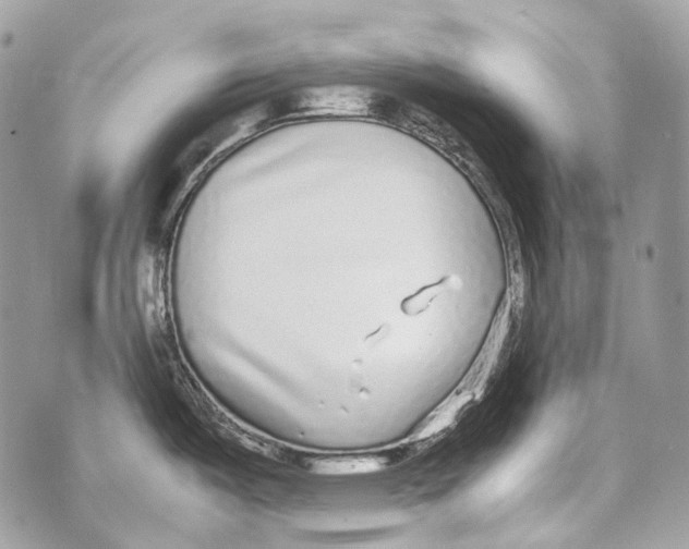 X0000070431487200607072347