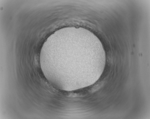 X0000070431490200607072346