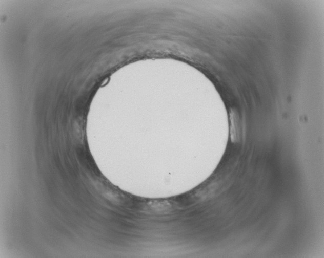 X0000070431491200607072346