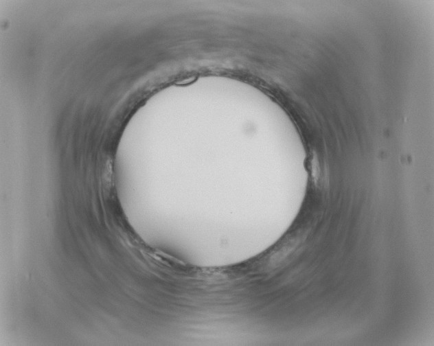 X0000070431492200607072346